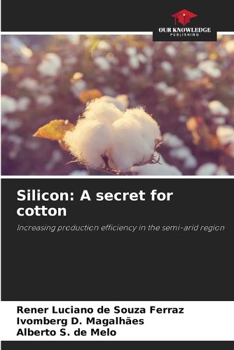 Cover image for Silicon