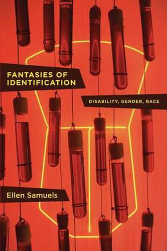 Cover image for Fantasies of Identification: Disability, Gender, Race