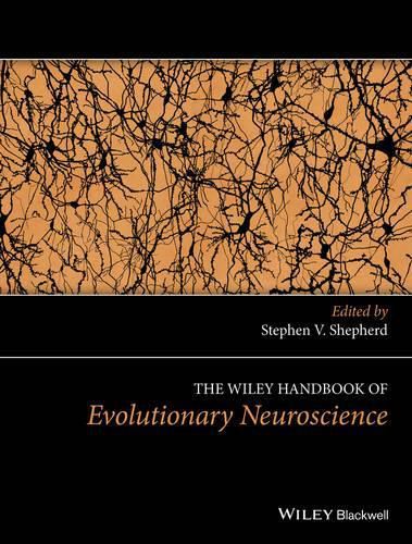 Cover image for The Wiley Handbook of Evolutionary Neuroscience