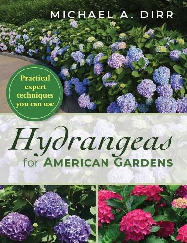 Cover image for Hydrangeas for American Gardens