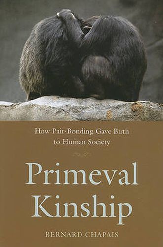 Cover image for Primeval Kinship: How Pair-Bonding Gave Birth to Human Society