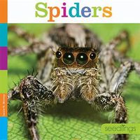 Cover image for Spiders