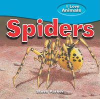 Cover image for Spiders