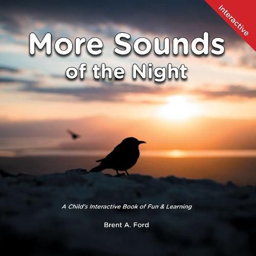 Cover image for More Sounds of the Night: A Child's Interactive Book of Fun & Learning