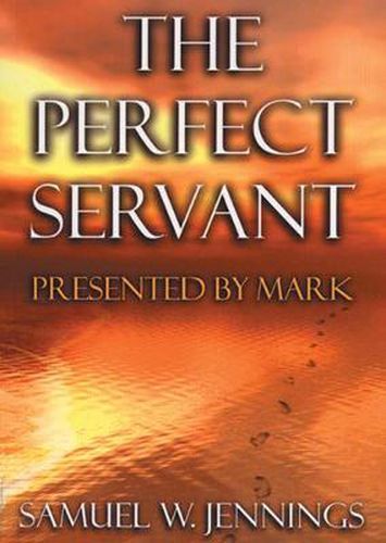 Cover image for The Perfect Servant