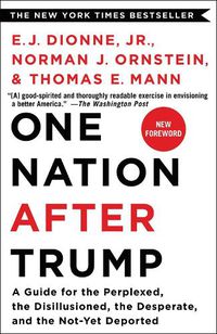 Cover image for One Nation After Trump: A Guide for the Perplexed, the Disillusioned, the Desperate, and the Not-Yet Deported