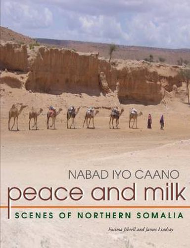 Peace and Milk: Scenes of Northern Somalia