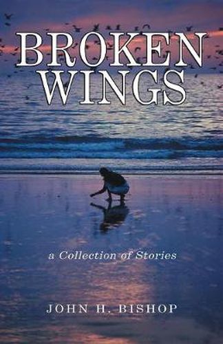 Cover image for Broken Wings: A Collection of Stories