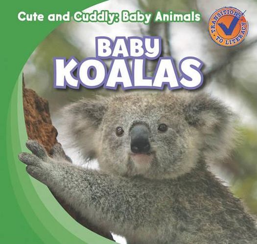 Baby Koalas