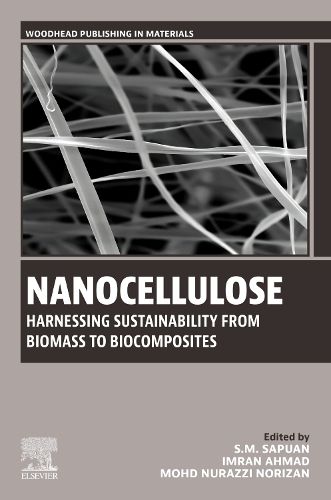 Cover image for Nanocellulose
