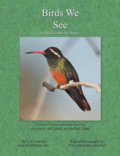 Cover image for Birds We See