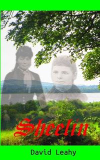 Cover image for Sheelin