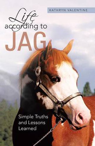 Cover image for Life According to Jag