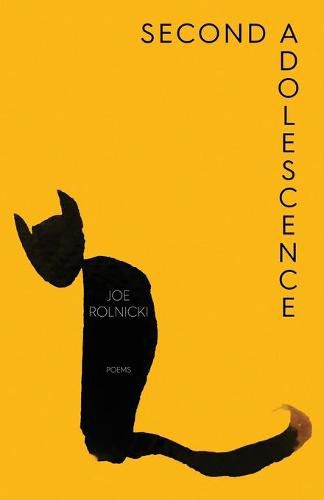 Cover image for Second Adolescence