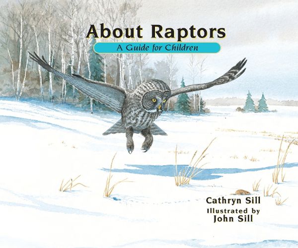 Cover image for About Raptors: A Guide for Children