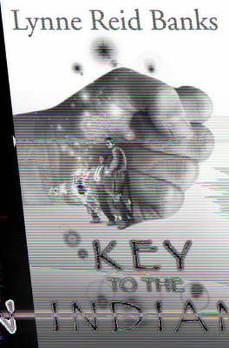 Cover image for The Key to the Indian