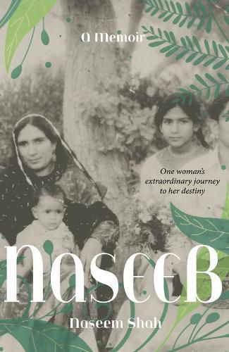 Cover image for Naseeb