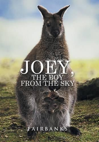 Cover image for Joey, the Boy from the Sky