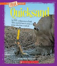 Cover image for Quicksand