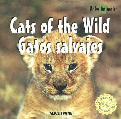 Cover image for Cats of the Wild / Gatos Salvajes