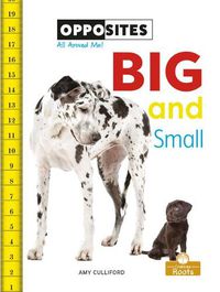 Cover image for Big and Small