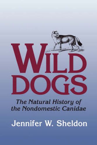 Cover image for Wild Dogs: The Natural History of the Nondomestic Canidae
