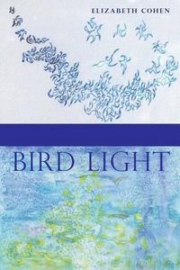 Cover image for Bird Light