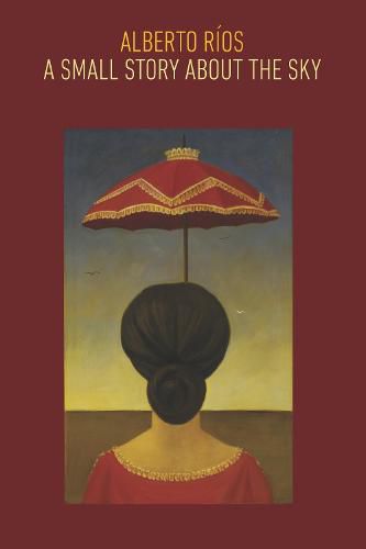 Cover image for A Small Story about the Sky