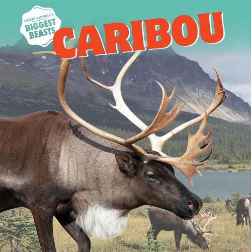 Caribou