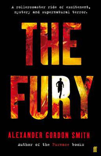 Cover image for The Fury
