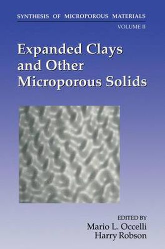 Cover image for Expanded Clays and Other Microporous Solids