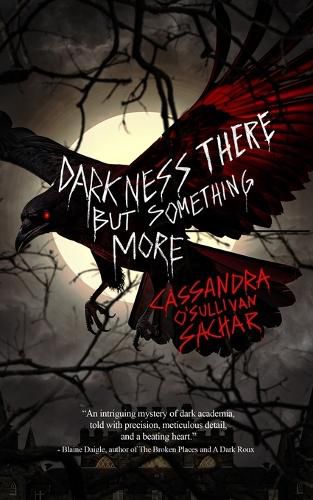 Cover image for Darkness There but Something More