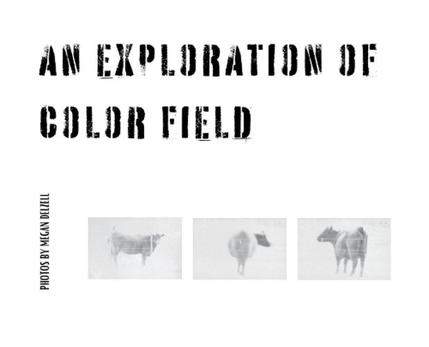 Cover image for An Exploration In Color Field