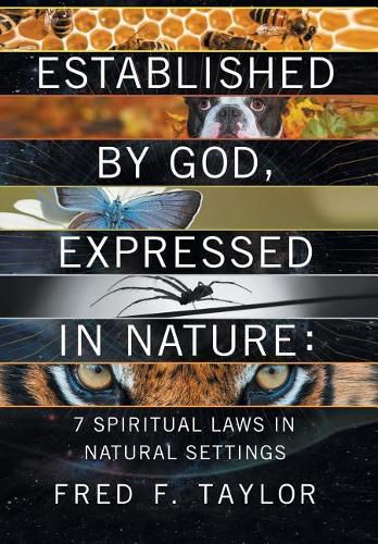 Established by God, Expressed in Nature: 7 Spiritual Laws in Natural Settings