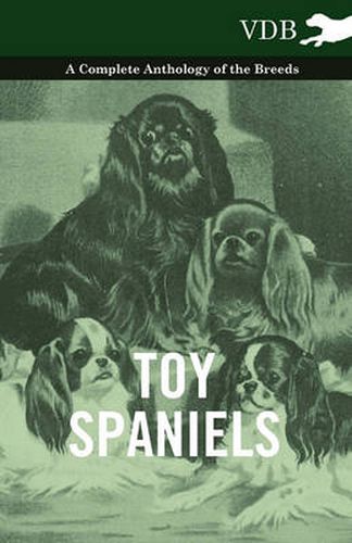 Cover image for Toy Spaniels - A Complete Anthology of the Breeds