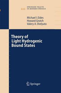 Cover image for Theory of Light Hydrogenic Bound States