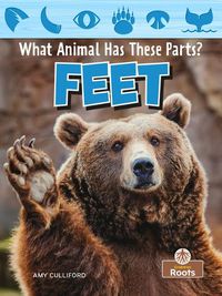 Cover image for Feet