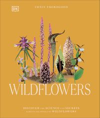 Cover image for Wildflowers