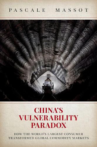 China's Vulnerability Paradox