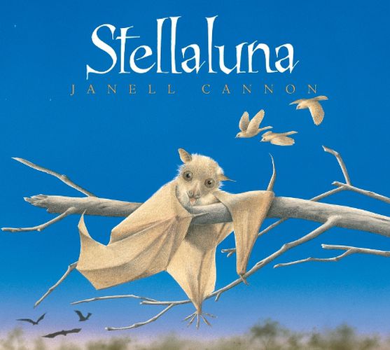 Cover image for Stellaluna