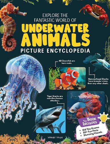 Cover image for Explore Fantastic World of Underwater Picture Encyclopedia