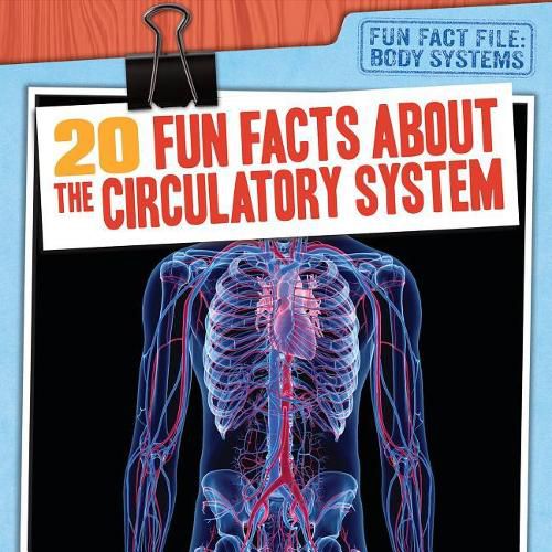 Cover image for 20 Fun Facts about the Circulatory System