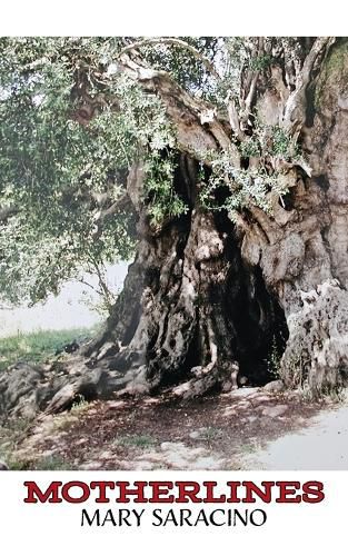 Cover image for Motherlines