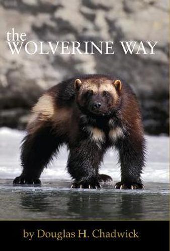 Cover image for The Wolverine Way