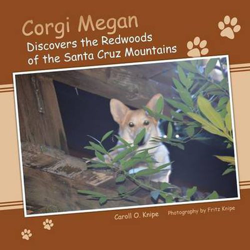 Cover image for Corgi Megan Discovers the Redwoods of the Santa Cruz Mountains