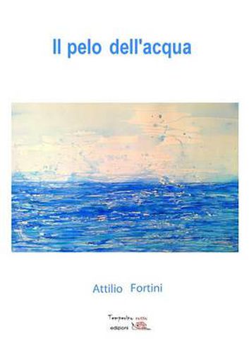 Cover image for Il pelo dell'acqua