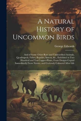 Cover image for A Natural History of Uncommon Birds