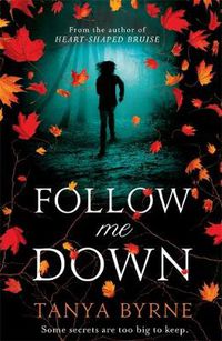 Cover image for Follow Me Down