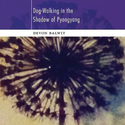 Cover image for Dog-Walking in the Shadow of Pyongyang