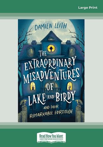 Cover image for The Extraordinary Misadventures of Lake and Birdy (and their remarkable fortitude)